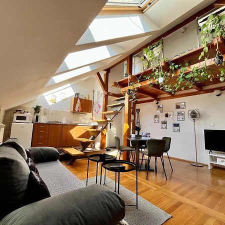 Captain Misha'S Place 베오그라드 외부 사진