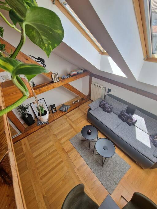 Captain Misha'S Place 베오그라드 외부 사진