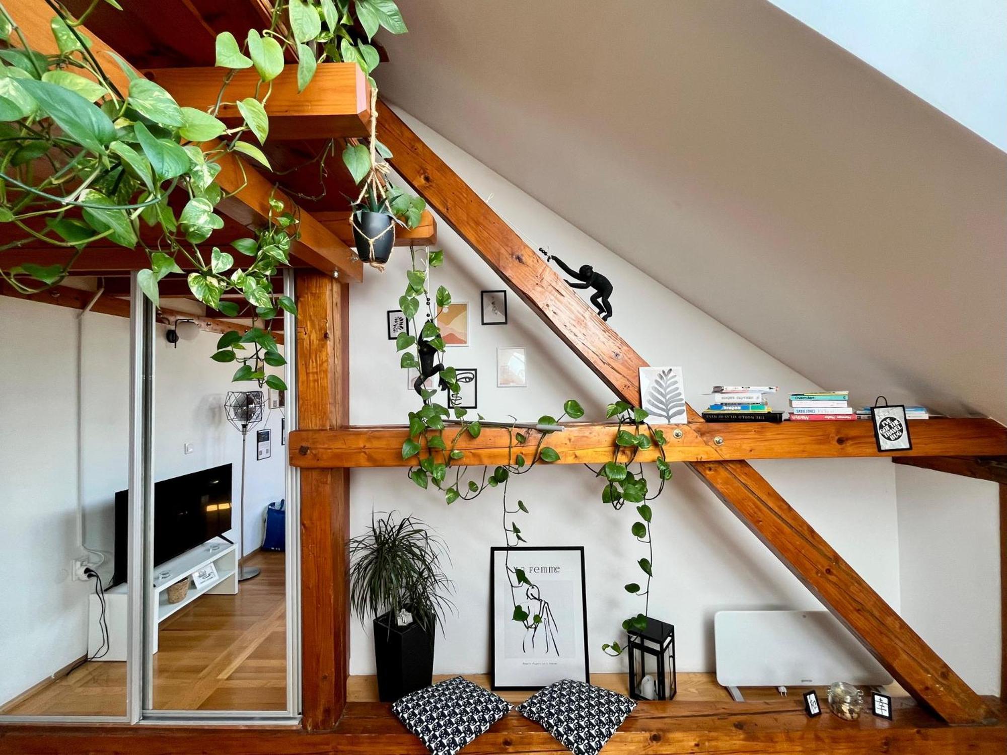 Captain Misha'S Place 베오그라드 외부 사진