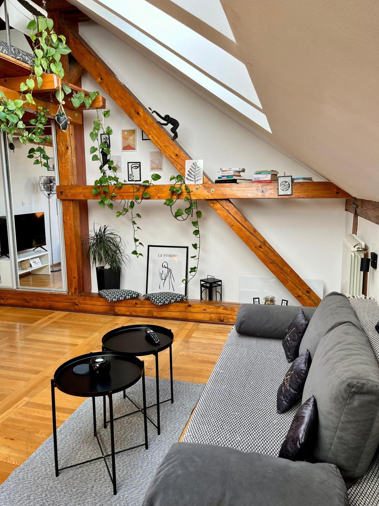 Captain Misha'S Place 베오그라드 외부 사진